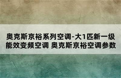 奥克斯京裕系列空调-大1匹新一级能效变频空调 奥克斯京裕空调参数